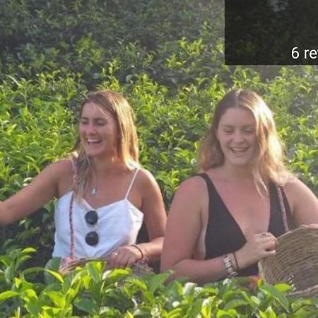 Tea Villas Procida Dış mekan fotoğraf