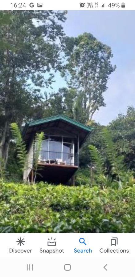 Tea Villas Procida Dış mekan fotoğraf