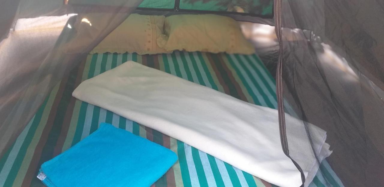 Tea Villas Procida Dış mekan fotoğraf